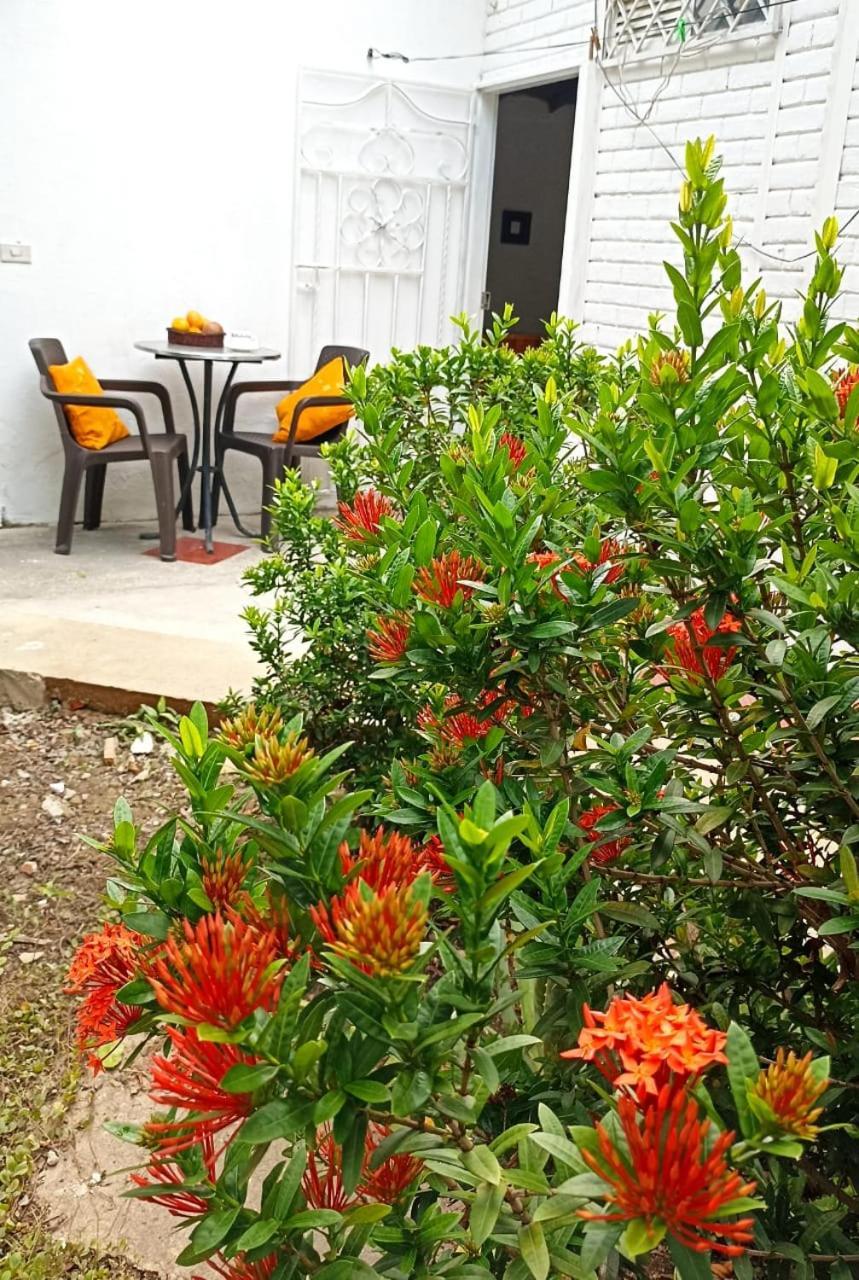 Hostal Corales Tolú Exteriér fotografie