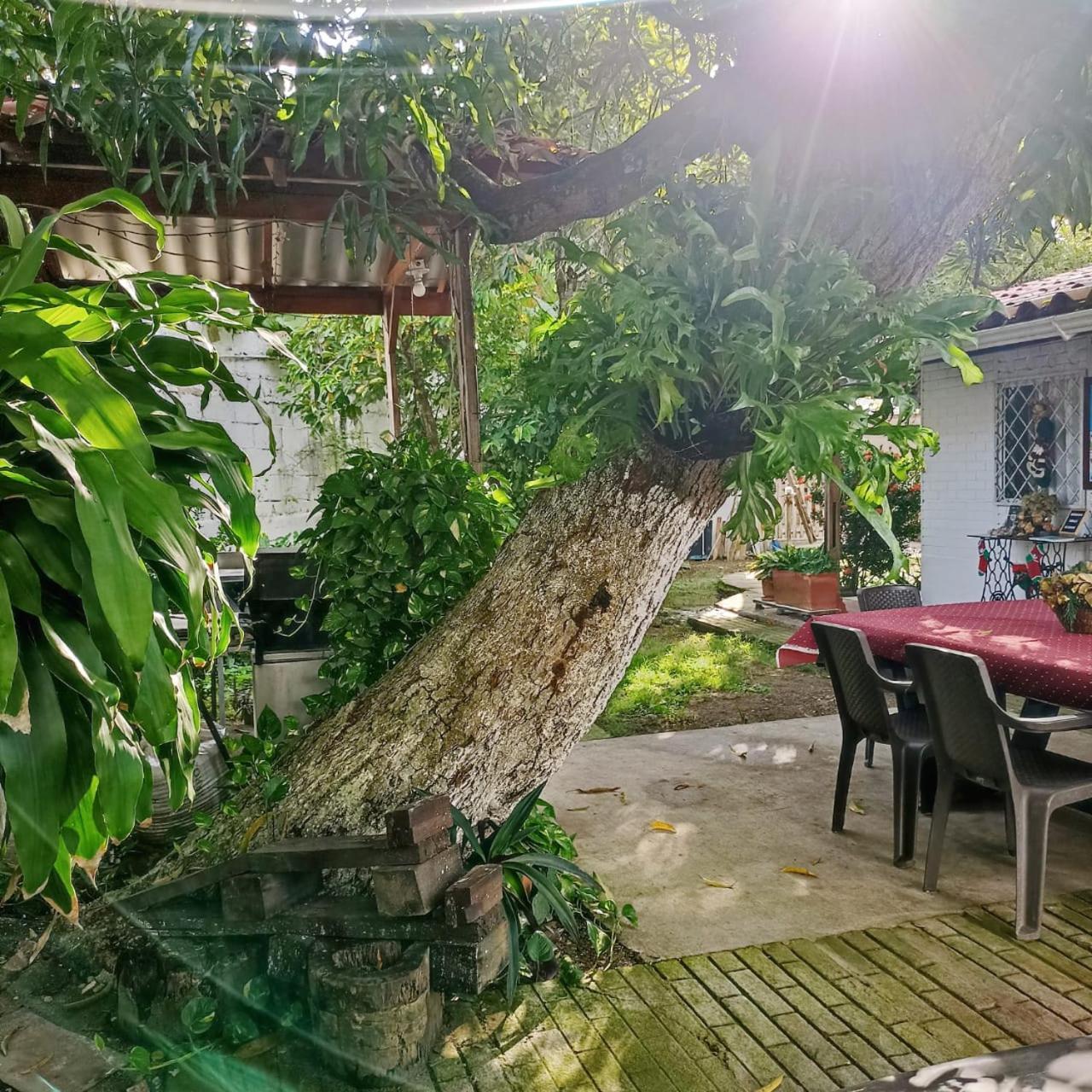 Hostal Corales Tolú Exteriér fotografie